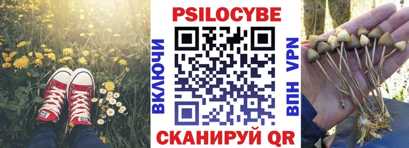 Псилоцибиновые грибы ЛСД  где продают   hydra ТОР  Александров 